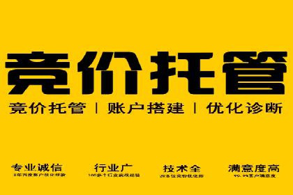 SEM托管服务成功案例精选